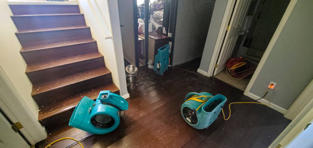 Best Water damage restoration near me  in Drexel Hill, PA