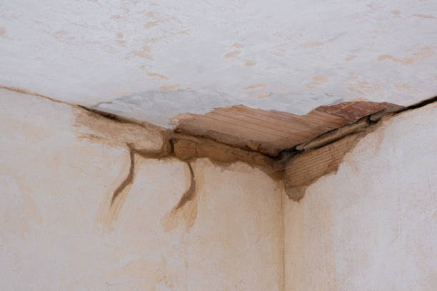 Best Water damage cleanup near me  in Drexel Hill, PA