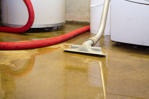 Best Flood restoration services  in Drexel Hill, PA