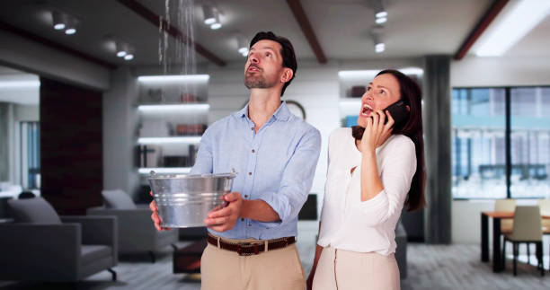 Best Ceiling water damage repair  in Drexel Hill, PA