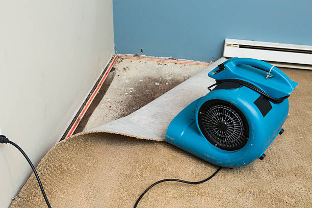 Best Water damage restoration specialists  in Drexel Hill, PA